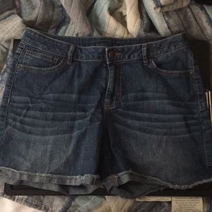 JLo Brand Jean Shorts